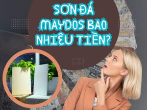 Giá Sơn Đá Maydos liệu có cao ?