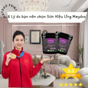 8 lý do bạn nên chọn Sơn Hiệu Ứng Maydos